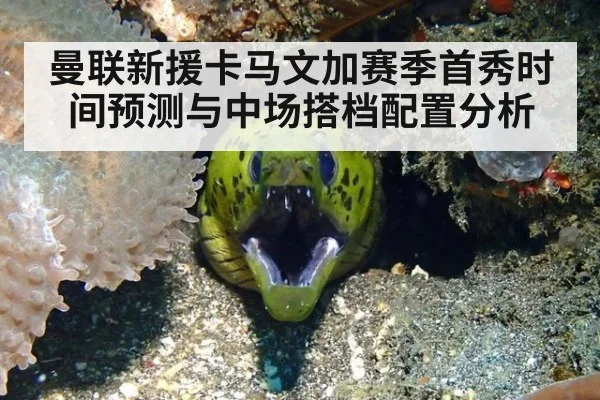 曼联新援卡马文加赛季首秀时间预测与中场搭档配置分析